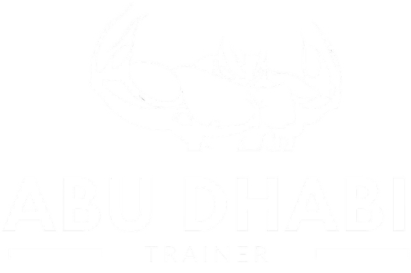 Footer Logo Image